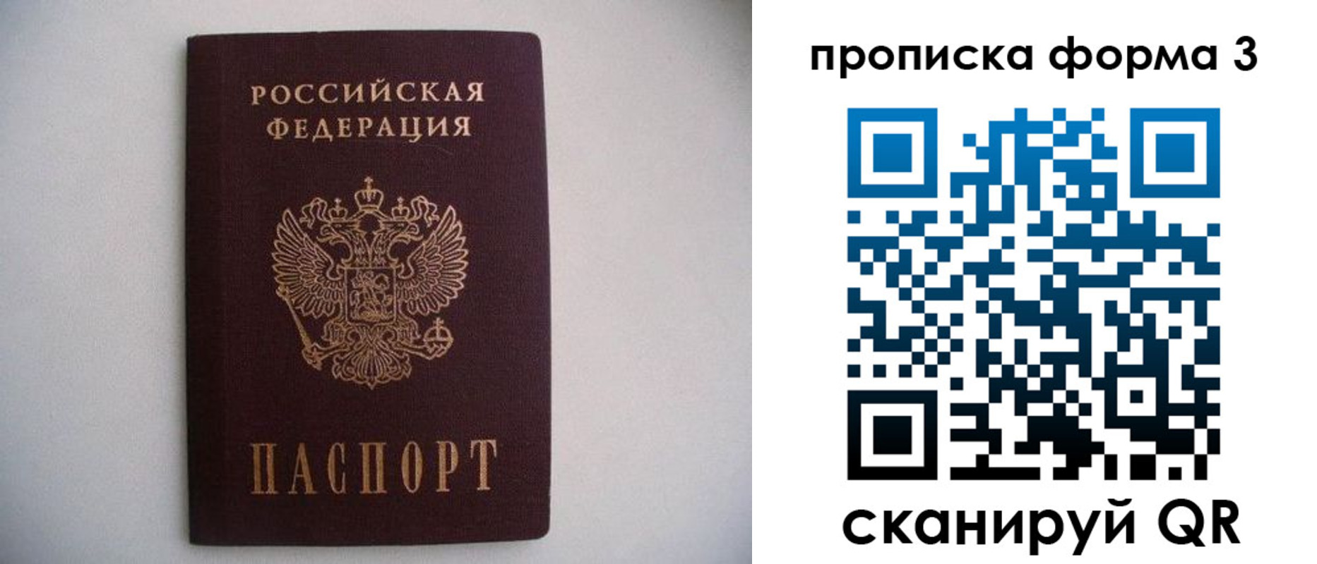 прописка в Курганинске